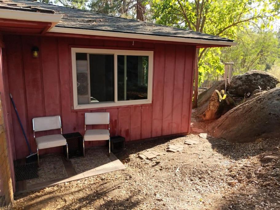 Sleeping Wolf Guest House 奥克赫斯特 外观 照片