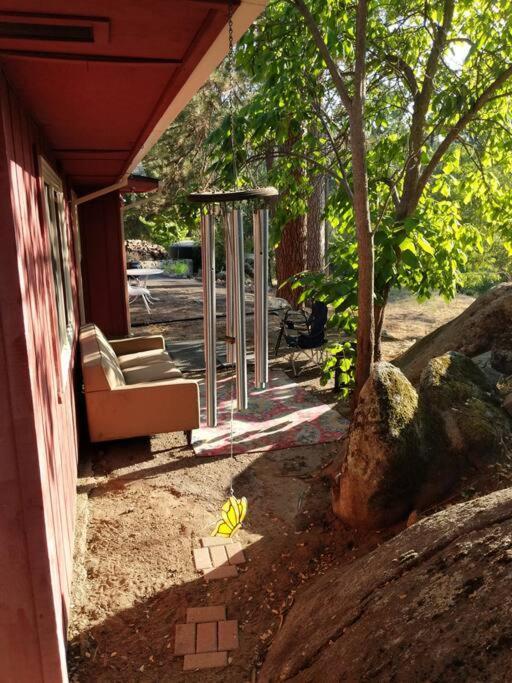 Sleeping Wolf Guest House 奥克赫斯特 外观 照片