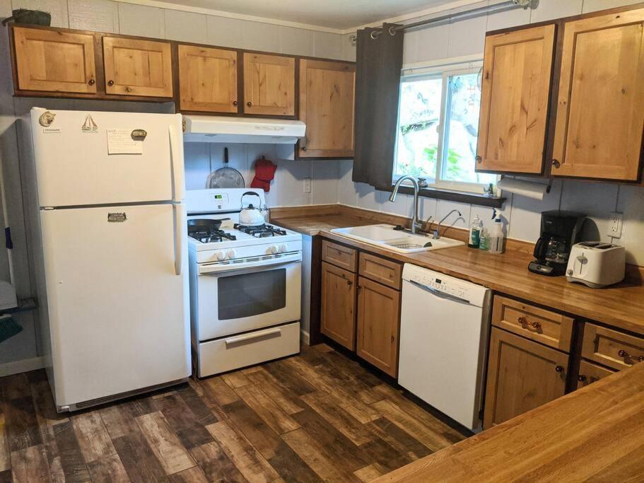 Sleeping Wolf Guest House 奥克赫斯特 外观 照片
